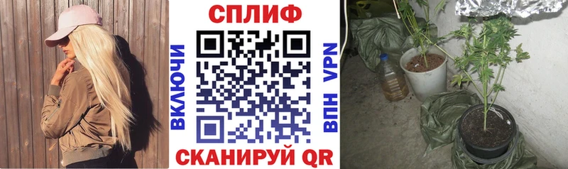 Бошки марихуана сатива  Берёзовка 